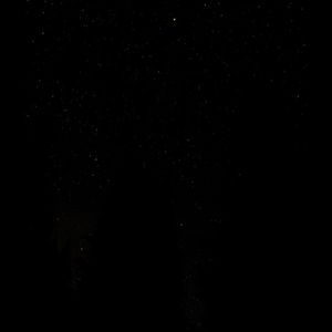 Meet your Posher, Kendall